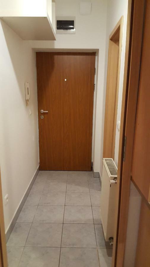 Liget Apartment, Terrace, Free Parking, Ac Budapešť Exteriér fotografie